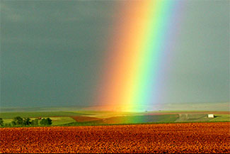 Arco iris