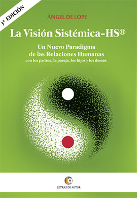 La vision sistemica HS
